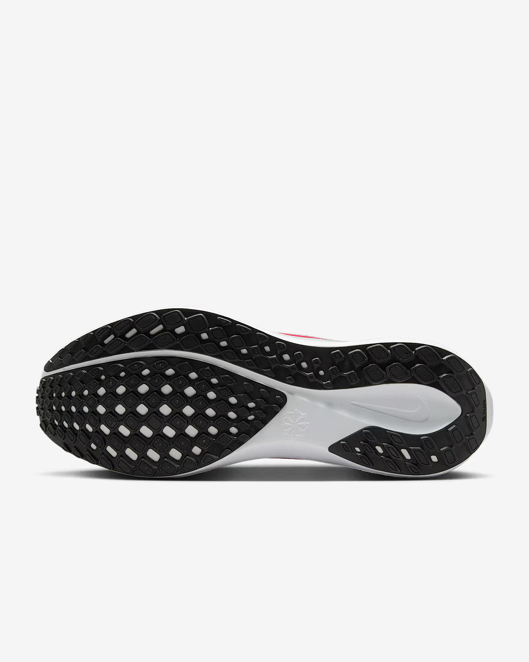 Nike > Pegasus 41 Men Shoes