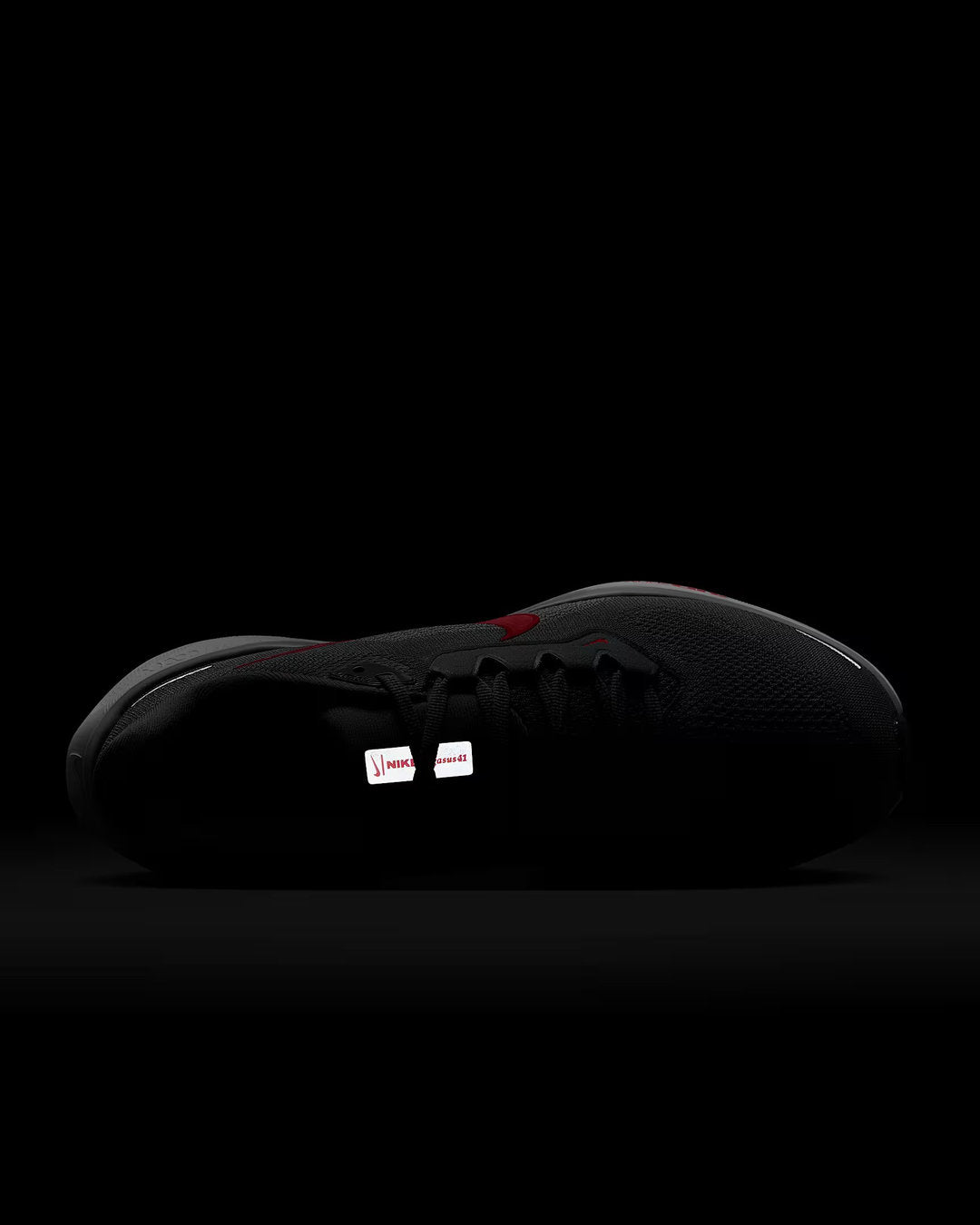 Nike > Pegasus 41 Men Shoes