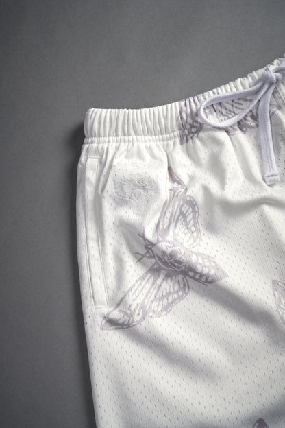 Darc Sport > Fly With Us Mesh Shorts